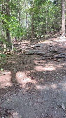 Bradbury Mountain State Park by null