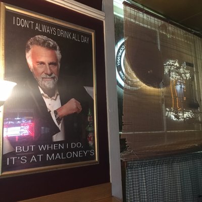 Maloney's Pub by null
