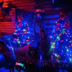 The Bigfoot Lodge - Christmas display, awesome!
