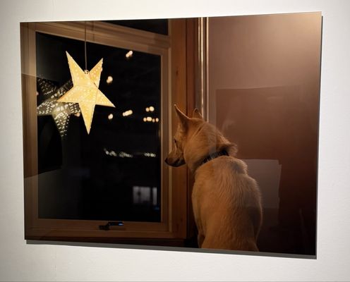 Real Jardín Botánico by null