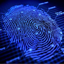 Secureone Livescan Fingerprinting