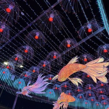 Glowfest - Venues & Event Spaces Near Me - Las Vegas, Nevada Glowfest - Venues & Event Spaces Near Me - Las Vegas, Nevada