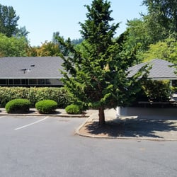 Juanita Bay Dentist