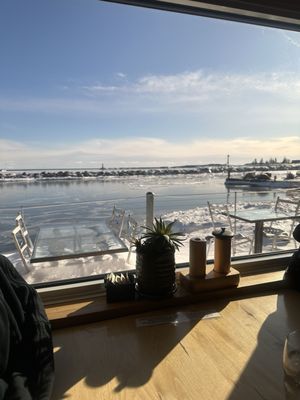 Angry Trout Cafe by null