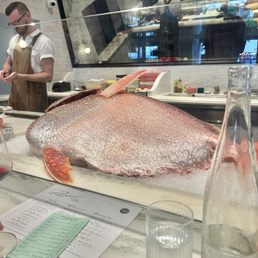 Raw Bar view of a massive Opah Fish Raw Bar view of a massive Opah Fish