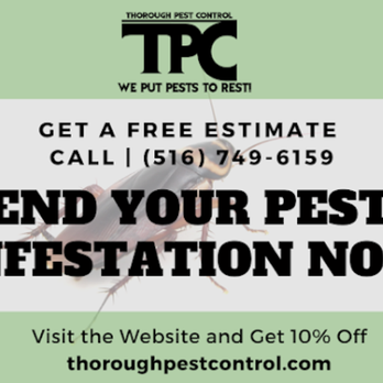 Thorough Pest Control 1 - Pest Control Near Me - Brooklyn, New York