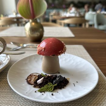 1906 Fine Dining - Chocolate moose - New American Near Me - Kennett Square, Pennsylvania