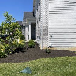 Lawn care service - After mulching and edging