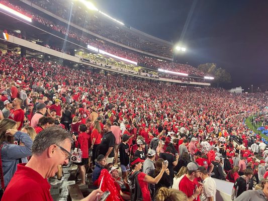 Sanford Stadium by null