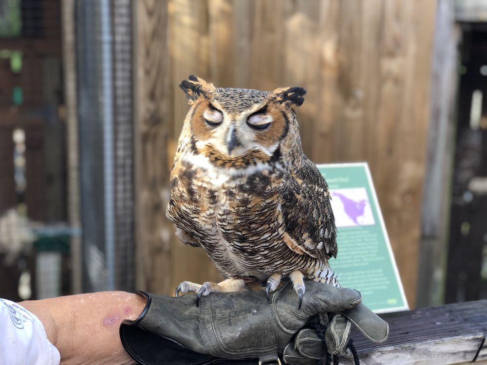 C MCGOUGH NATURE PARK 143 Photos & 28 Reviews Parks 11901