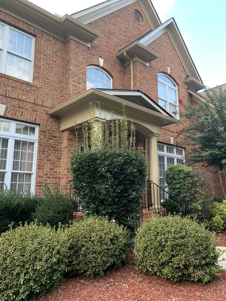 KALE LAWN CARE Updated September 2024 15 Photos Charlotte, North