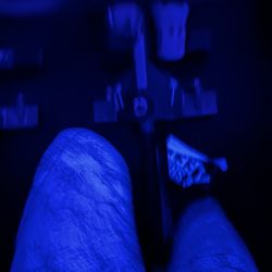 Torrent Cycle - Black light