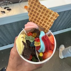 sweetFrog Premium Frozen Yogurt