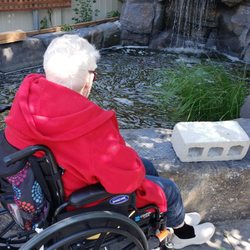 Good Day Assisted Living - A moment to enjoy the waterfall, pond, and fish