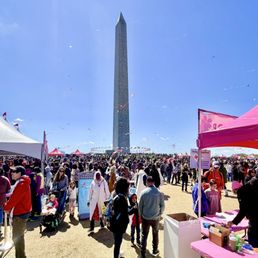 Cherry Blossom Kite Event