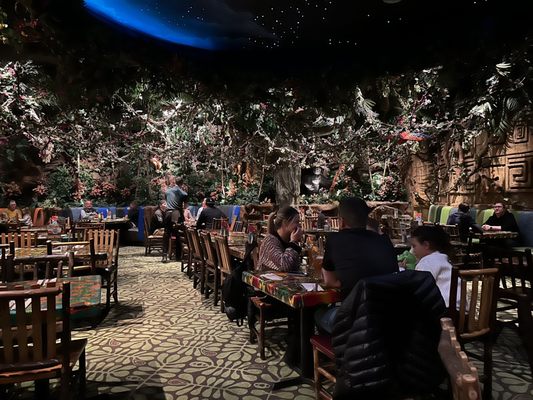 Rainforest Cafe by null