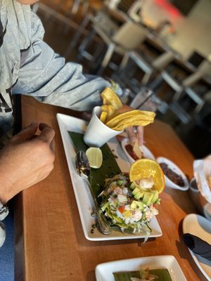 Gloria's Latin Cuisine by null