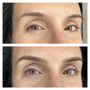 Photo of Boss Brow
