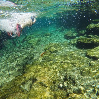 Cenote Tortuga - Local Flavor Near Me - Quintana Roo, ROO Cenote Tortuga - Local Flavor Near Me - Quintana Roo, ROO