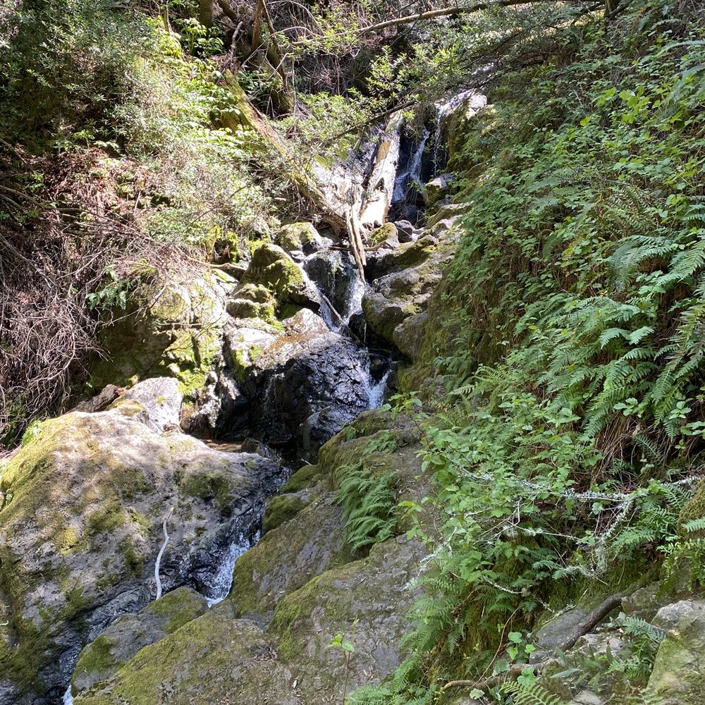 Cataract Falls Trail - Hiking Near Me Cataract Falls Trail - Hiking Near Me