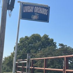 Livesay Orchards - Signage!