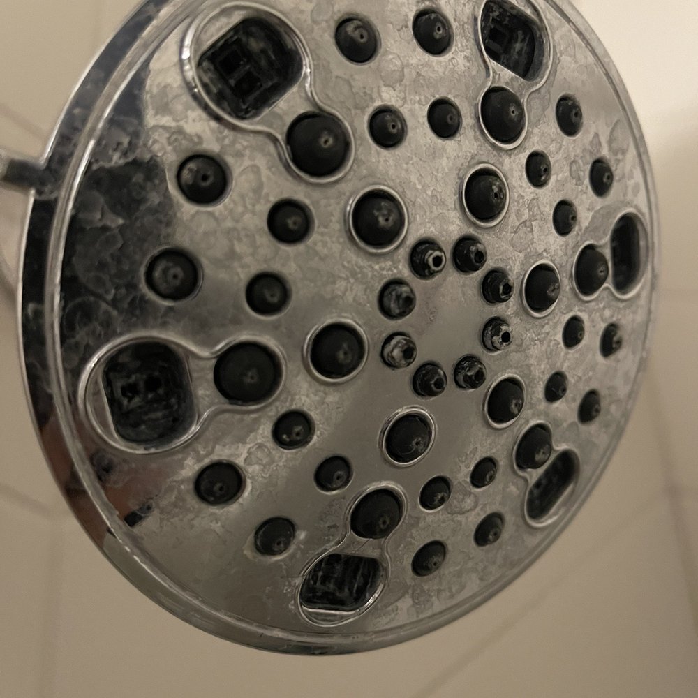 Fairfield Inn by Marriott Visalia Sequoia - Shower head. - Hotels Near Me - Visalia, California Fairfield Inn by Marriott Visalia Sequoia - Shower head. - Hotels Near Me - Visalia, California