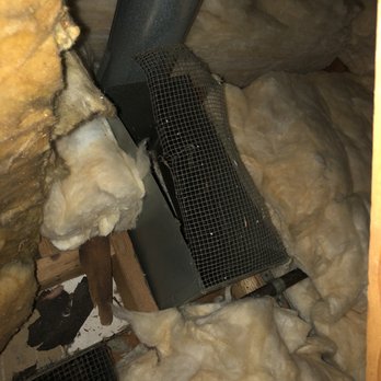 Diamond Rodent Proofing - More damage.. - Pest Control Near Me