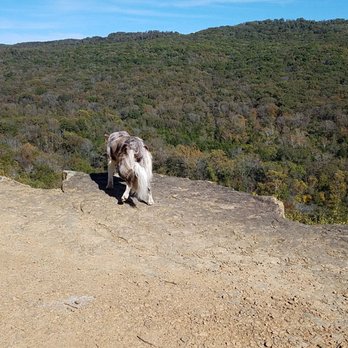 Devil's Den State Park - Parks Near Me - Winslow, Arkansas