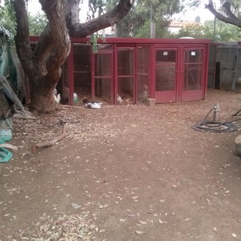 Country Feed Store - Pet Stores Near Me - Vista, California