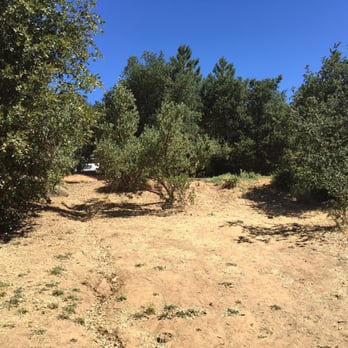 William Heise County Park - View of site #67 from the fire pit. We didn't have neighbors all weekend, but if we did, we would be able to see them just a bit. - Campgrounds Near Me - Julian, California William Heise County Park - View of site #67 from the fire pit. We didn't have neighbors all weekend, but if we did, we would be able to see them just a bit. - Campgrounds Near Me - Julian, California