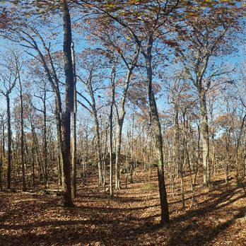 Eagle Rock Reservation - Parks Near Me - West Orange, New Jersey