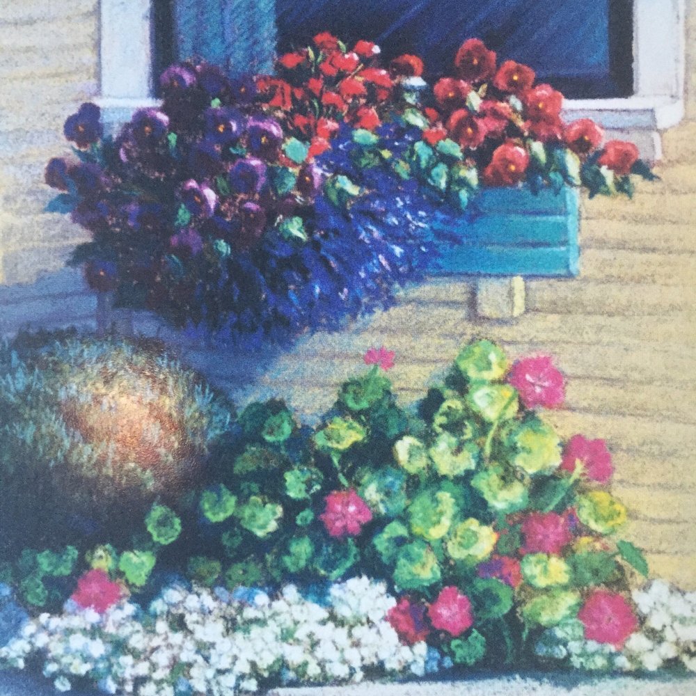 White Water - THE FLOWERS AT EACH WINDOW AND ENTRY WAY TO THE INN - Hotels Near Me - Cambria, California White Water - THE FLOWERS AT EACH WINDOW AND ENTRY WAY TO THE INN - Hotels Near Me - Cambria, California