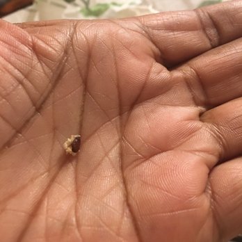 Subway - Took a picture to make sure it was a bug and not a seed. - Sandwiches Near Me - Grenada, Mississippi