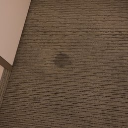 The floors in the room were very dirty, and I was afraid to walk on them without shoes. The floors in the room were very dirty, and I was afraid to walk on them without shoes.