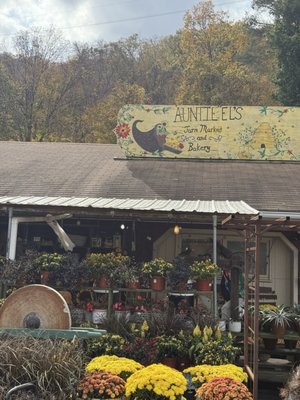 Auntie El's Farm Market by null
