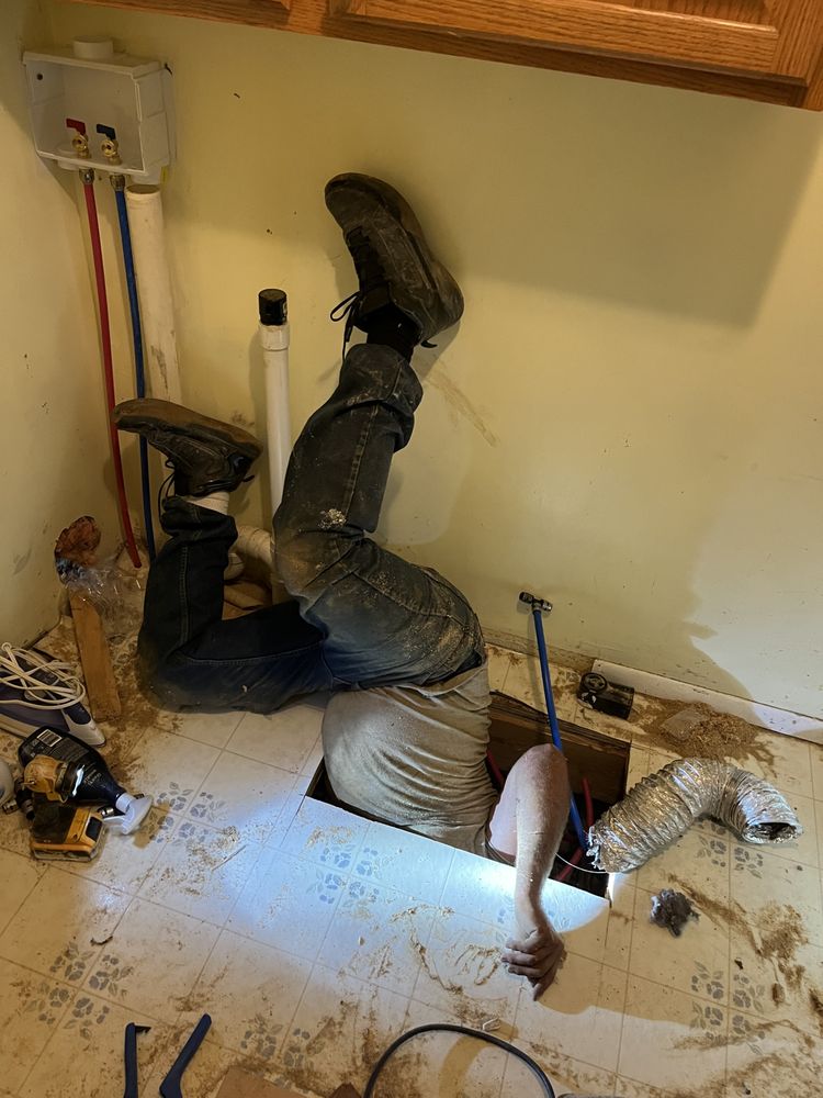 Slide of Spot on Johnny