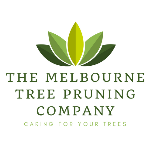 THE MELBOURNE TREE PRUNING CO Tree Services 3/52 Rockley Rd, South