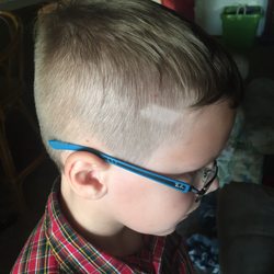 Perfect Cut - Chunk shaved in the side of his head.....WHY THE F**K would you do this????