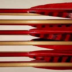 Raptor Archery - Raptor hand made arrows