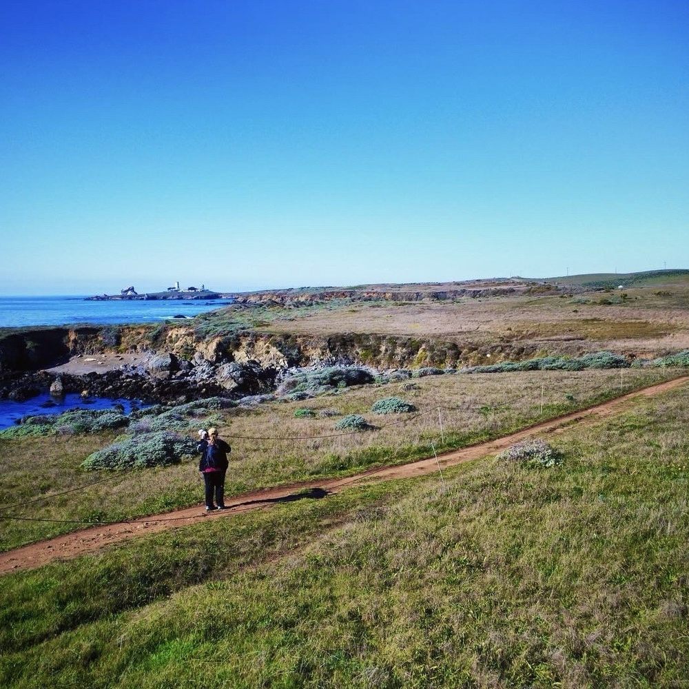 Boucher Trail - A dronie of me filming Elephant Seals on the trail lol! - Hiking Near Me Boucher Trail - A dronie of me filming Elephant Seals on the trail lol! - Hiking Near Me