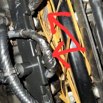 DCH Subaru - Freshly taped wire and chewed wire conduit from rodent infestation. - Car Dealers Near Me - Riverside, California DCH Subaru - Freshly taped wire and chewed wire conduit from rodent infestation. - Car Dealers Near Me - Riverside, California