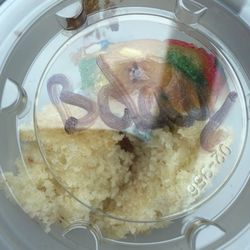 Warriors Den - Free Muffin-Bday Sample