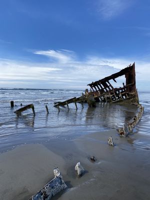 Wreck of the Peter Iredale by null