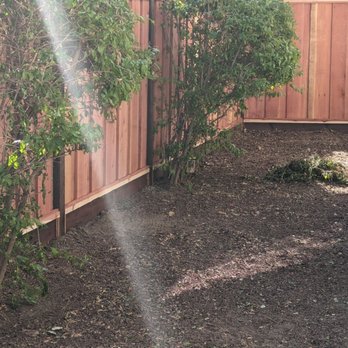 Sunset Fencing - Bushes unharmed - Fences & Gates Near Me