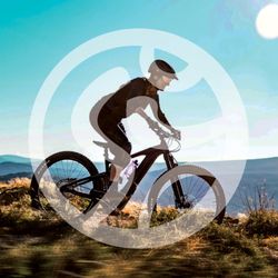 Martins Bike & Fitness - Ride Bike Martins Bike & Fitness