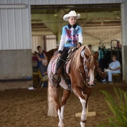 Matthias Arabians - Eva and SFTucks Big Bang walk/trot trail. Res. Champion ride 2016