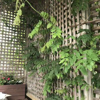 Next Door Burger Bar - Beautiful patio area, cornhole and Jenga while you wait! - Burgers Near Me - Sandwich, Massachusetts