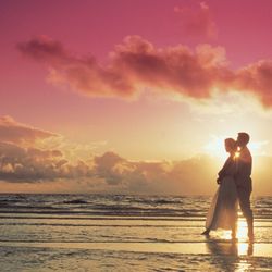 Spiritual Insight - Love, Soulmate & Twinflame Specialist.