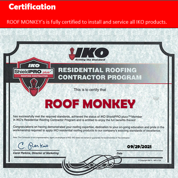 Slide of Roof Monkey