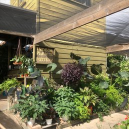 Exterior outside entrance of Hunter's Nursery - Shopping for plants - Lemon Grove, California Exterior outside entrance of Hunter's Nursery - Shopping for plants - Lemon Grove, California